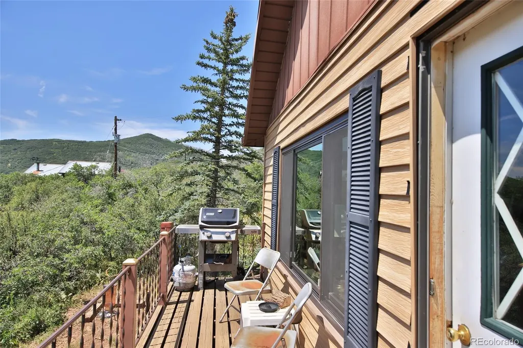 15699 Aspen Glenn Lane Collbran CO 81624
