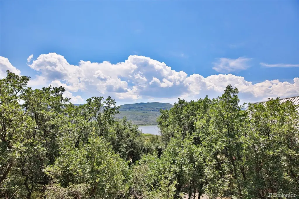15699 Aspen Glenn Lane Collbran CO 81624