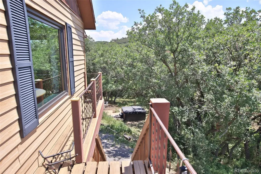 15699 Aspen Glenn Lane Collbran CO 81624