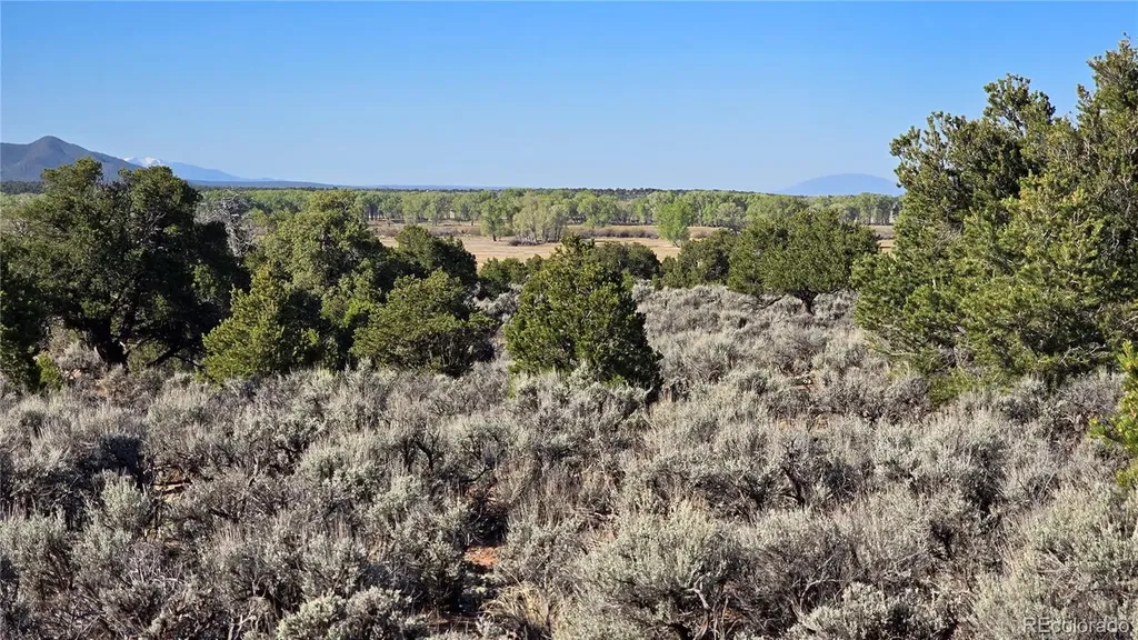 Lot 3715 Hartgrave Road Fort Garland CO 81133