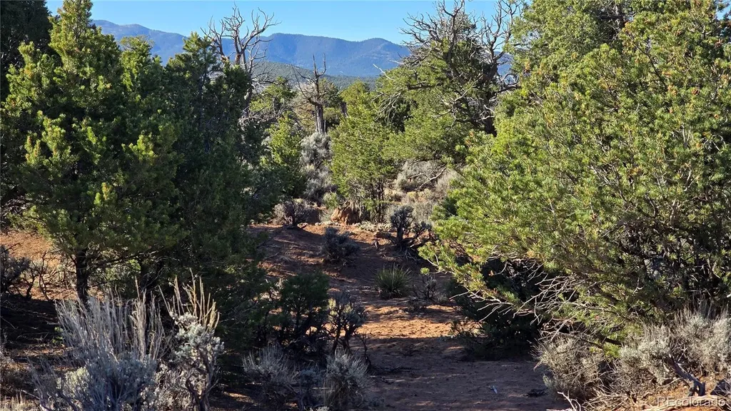 Lot 3715 Hartgrave Road Fort Garland CO 81133