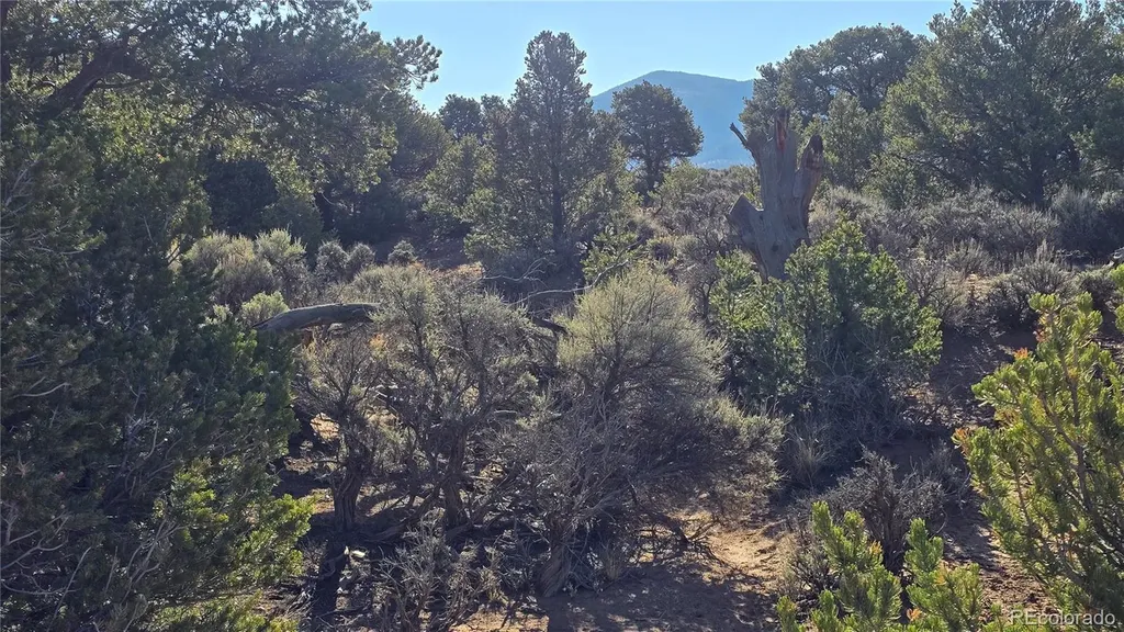 Lot 3715 Hartgrave Road Fort Garland CO 81133