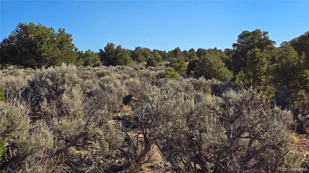 Lot 3715 Hartgrave Road Fort Garland CO 81133