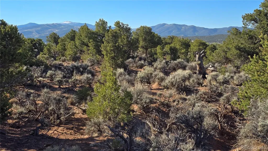 Lot 3715 Hartgrave Road Fort Garland CO 81133