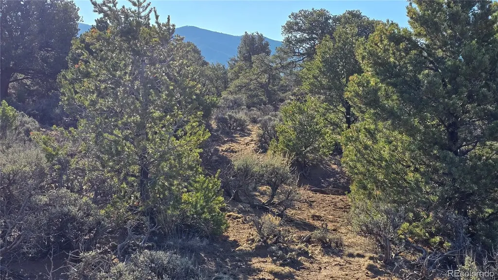Lot 3715 Hartgrave Road Fort Garland CO 81133