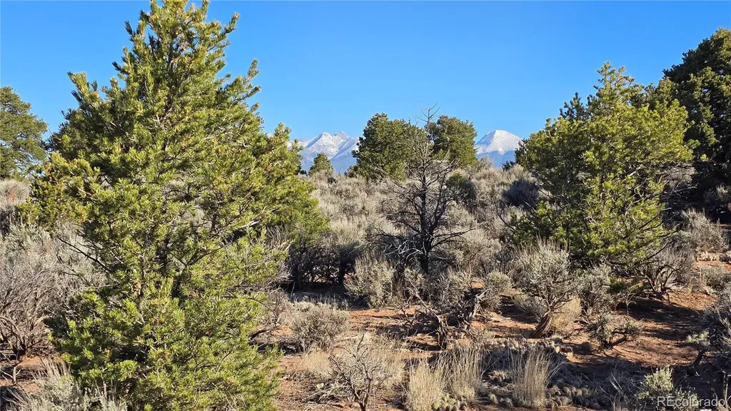 Lot 3715 Hartgrave Road Fort Garland CO 81133