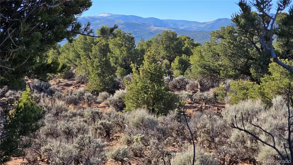 Lot 3715 Hartgrave Road Fort Garland CO 81133
