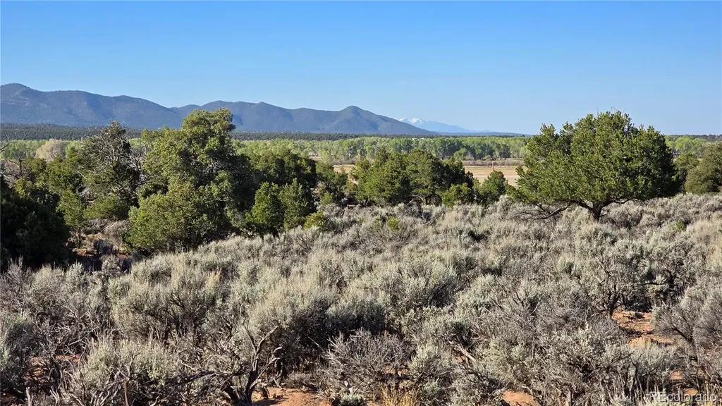 Lot 3715 Hartgrave Road Fort Garland CO 81133