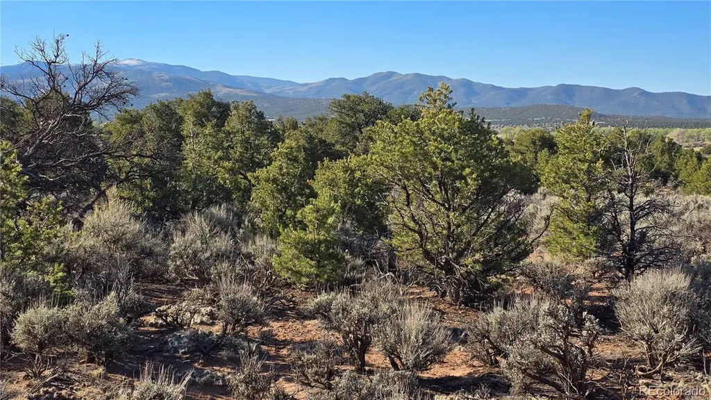 Lot 3715 Hartgrave Road Fort Garland CO 81133