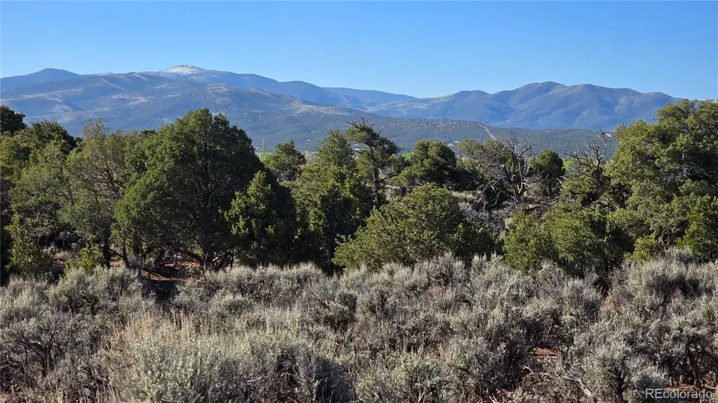Lot 3715 Hartgrave Road Fort Garland CO 81133