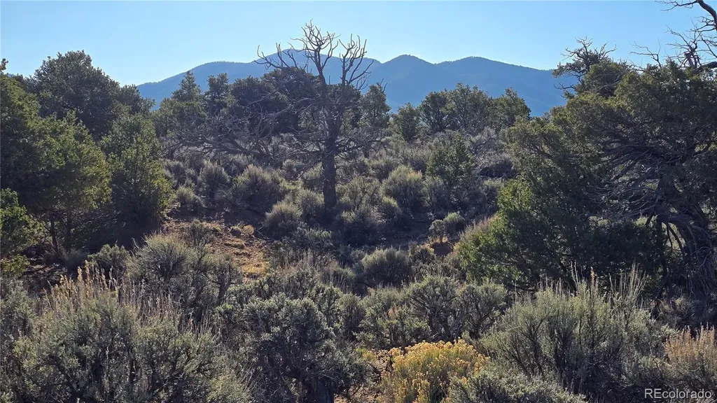 Lot 3715 Hartgrave Road Fort Garland CO 81133