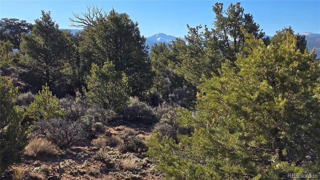 Lot 3715 Hartgrave Road Fort Garland CO 81133