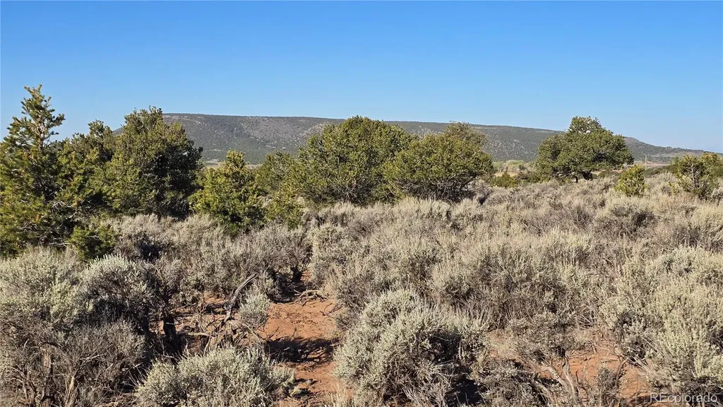 Lot 3715 Hartgrave Road Fort Garland CO 81133