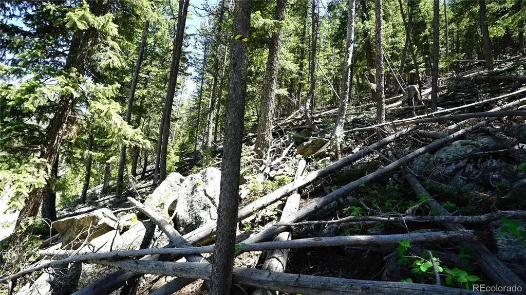 000 Saddleback Drive Evergreen CO 80439