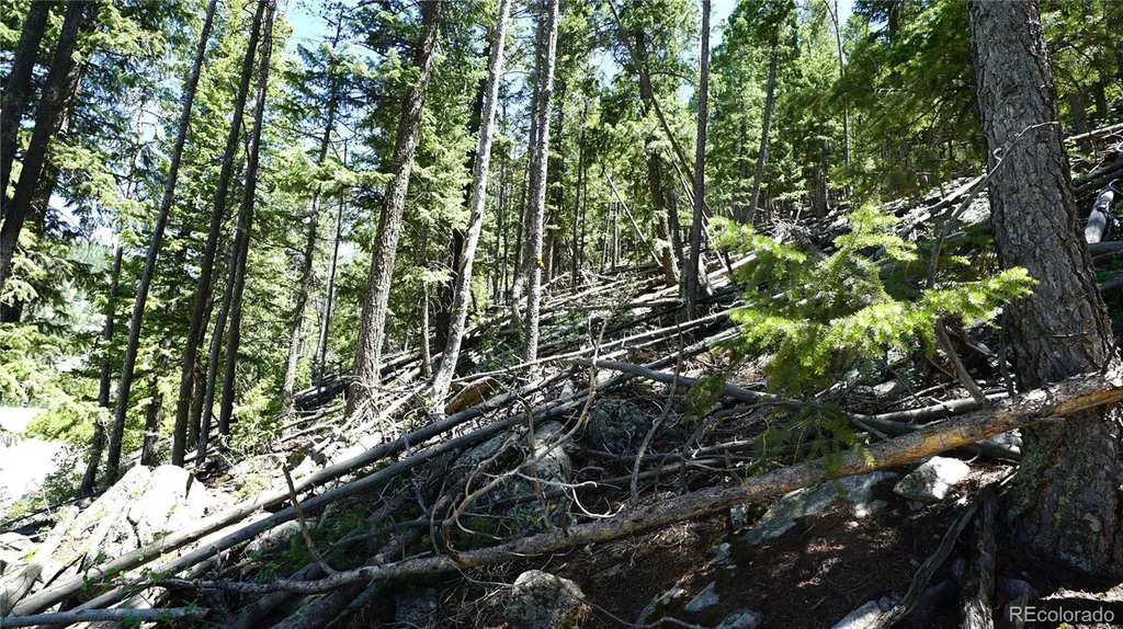 000 Saddleback Drive Evergreen CO 80439