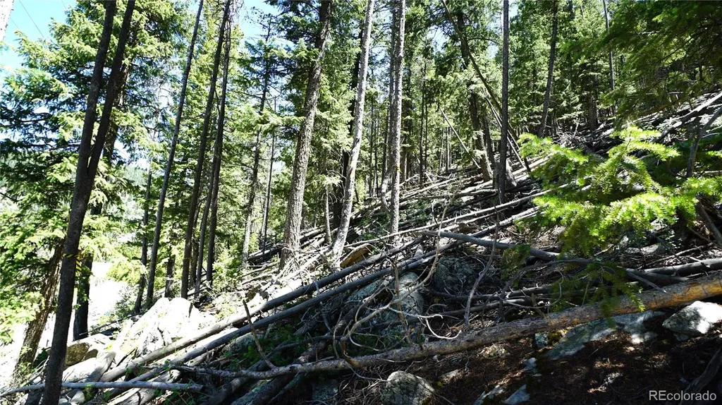 000 Saddleback Drive Evergreen CO 80439