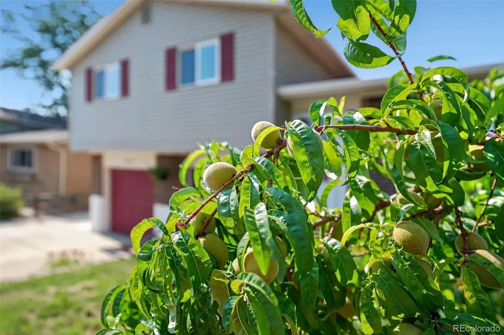 6450 W 108th Place Broomfield CO 80020