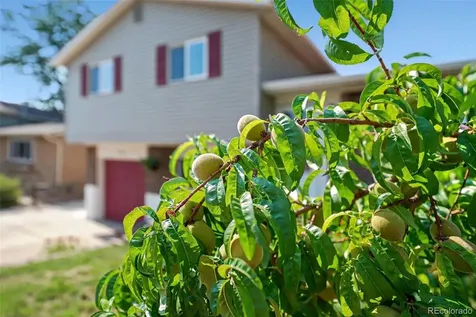 6450 W 108th Place Broomfield CO 80020