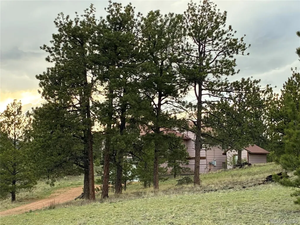 6951 County Road 71 Guffey CO 80820