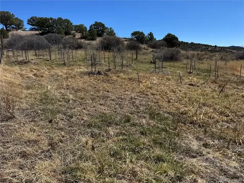 16103 Us Highway 285 Salida CO 81201