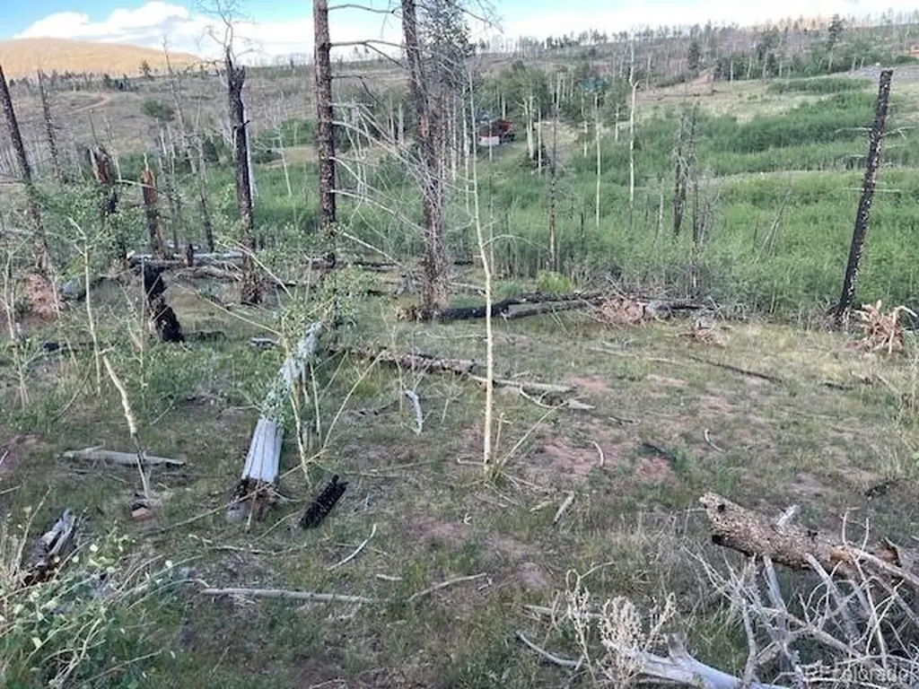 968 Hunington Lane Fort Garland CO 81133