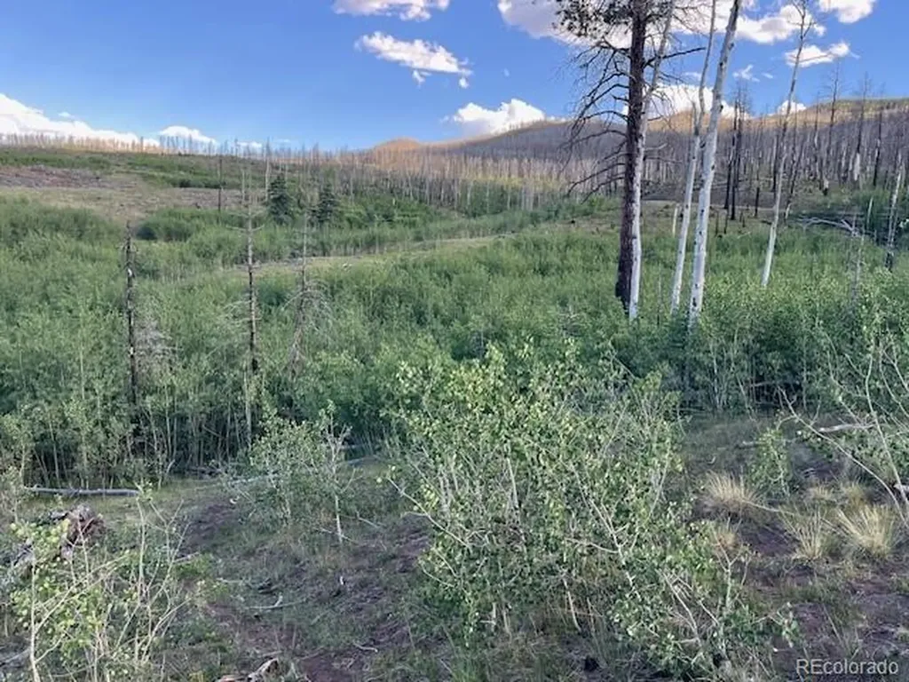 968 Hunington Lane Fort Garland CO 81133