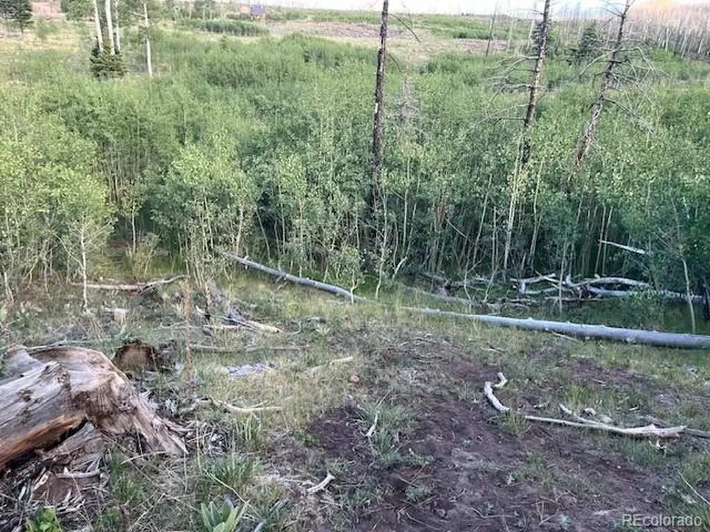 968 Hunington Lane Fort Garland CO 81133