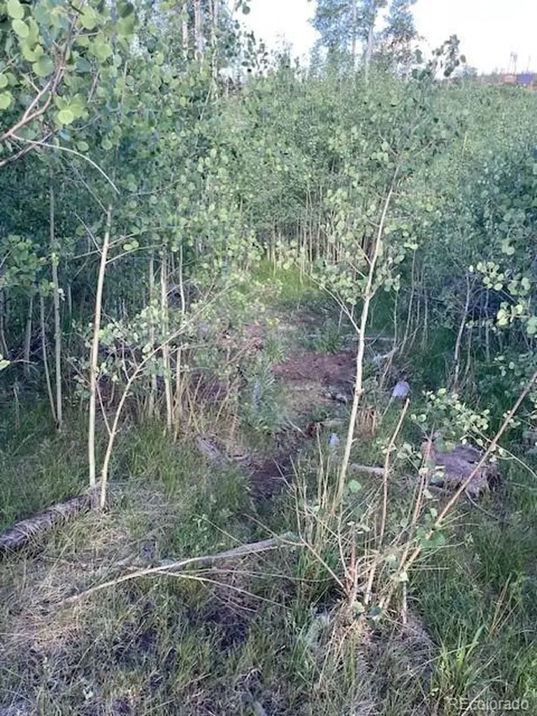 968 Hunington Lane Fort Garland CO 81133