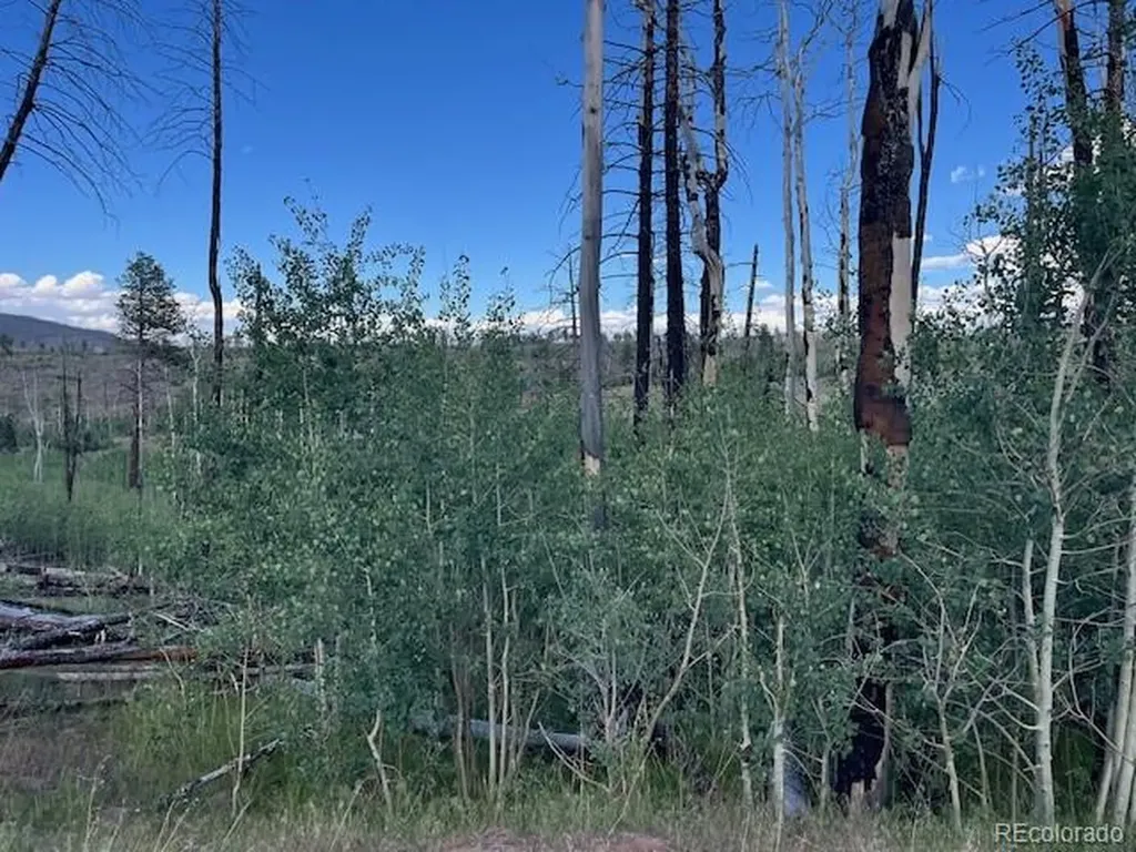 968 Hunington Lane Fort Garland CO 81133