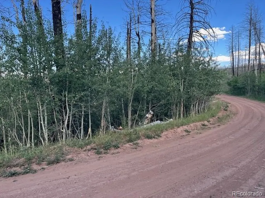 968 Hunington Lane Fort Garland CO 81133