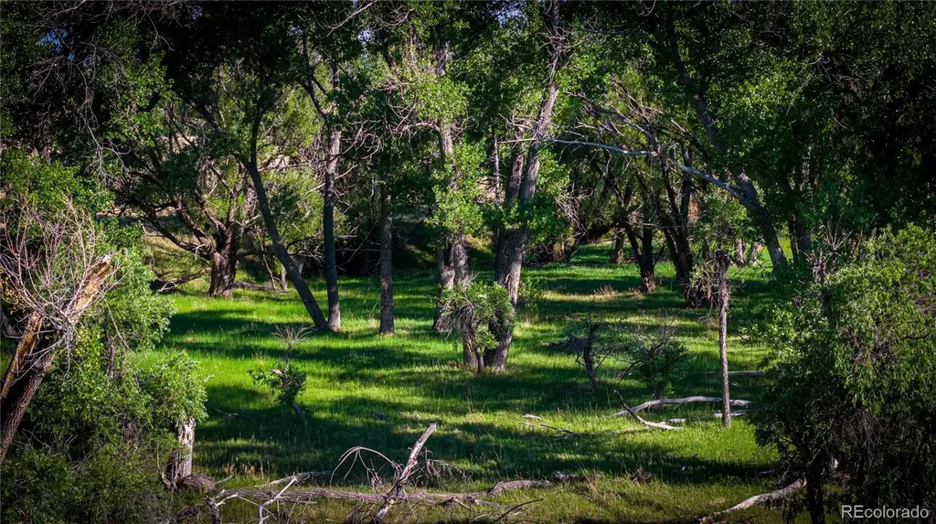 178 County Road Parker CO 80138