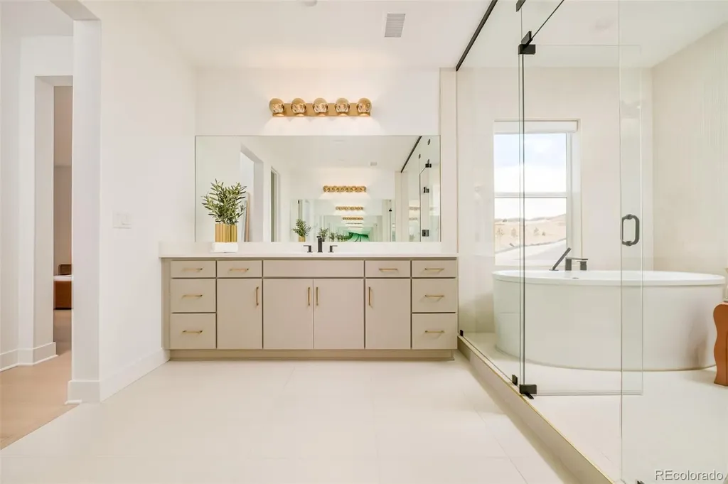 1158 Brotherton Point Castle Rock CO 80104