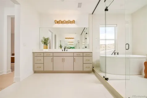 1158 Brotherton Point Castle Rock CO 80104