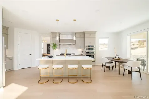 1158 Brotherton Point Castle Rock CO 80104