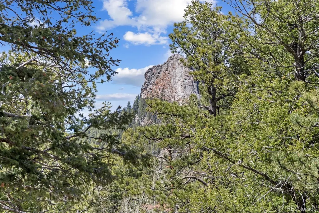 23971 Mormon Drive Conifer CO 80433