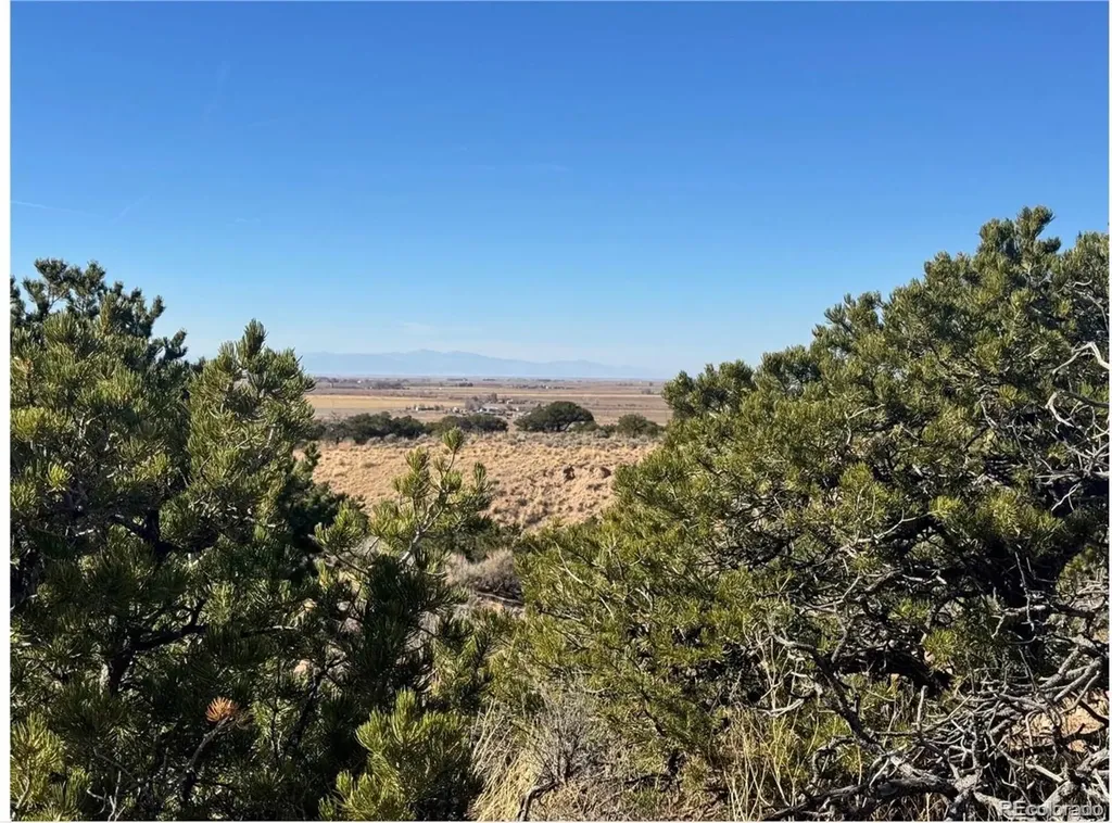 Lot 2446 Zuni Road Fort Garland CO 81133