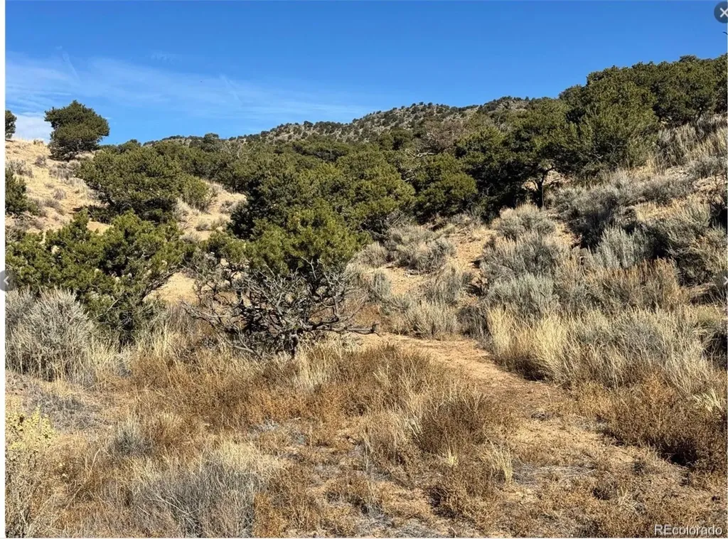 Lot 2446 Zuni Road Fort Garland CO 81133