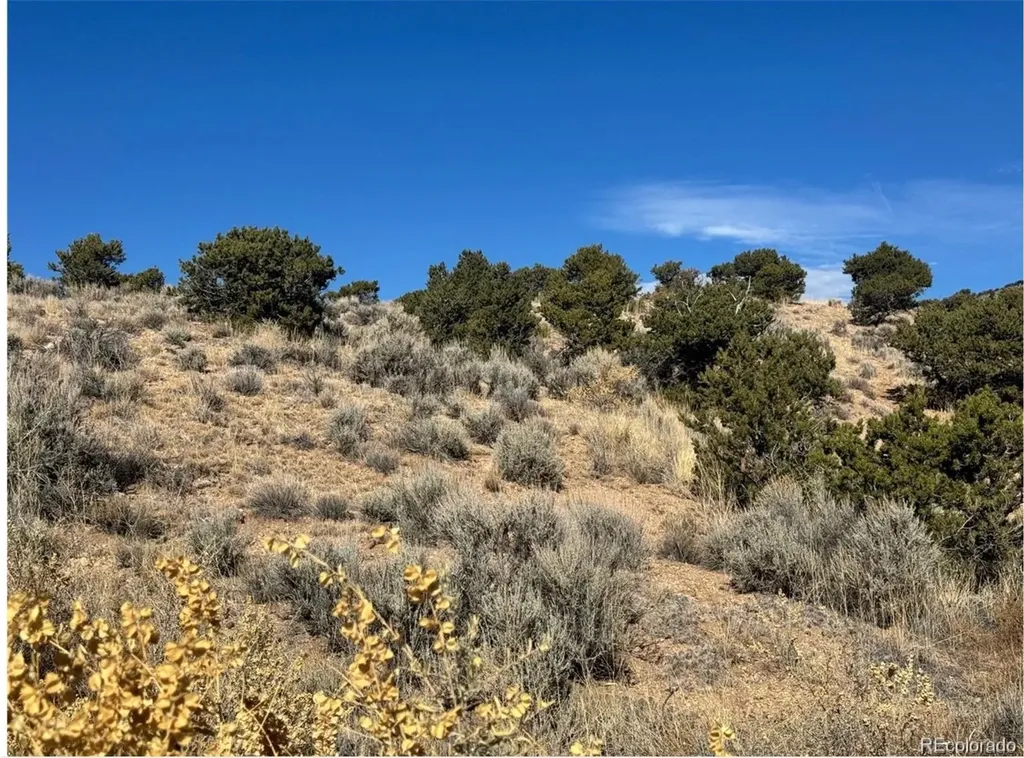 Lot 2446 Zuni Road Fort Garland CO 81133