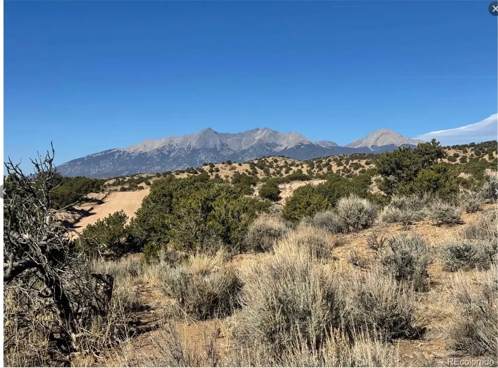 Lot 2446 Zuni Road Fort Garland CO 81133