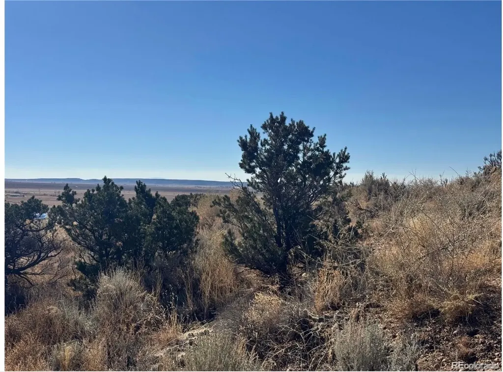 Lot 2446 Zuni Road Fort Garland CO 81133