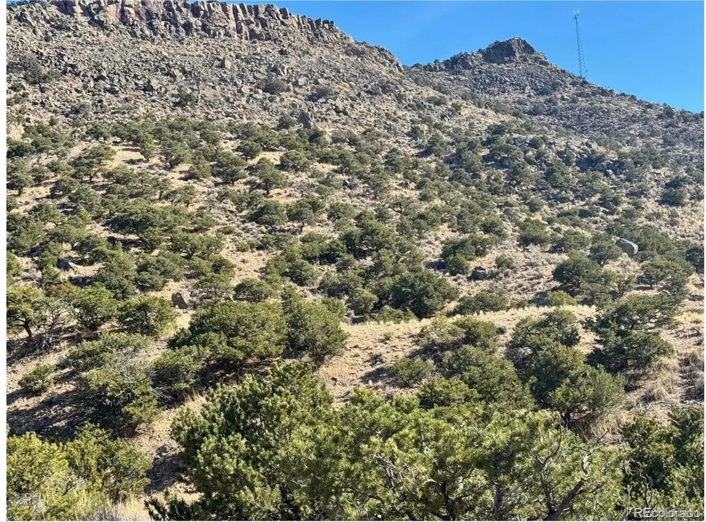 Lot 2446 Zuni Road Fort Garland CO 81133