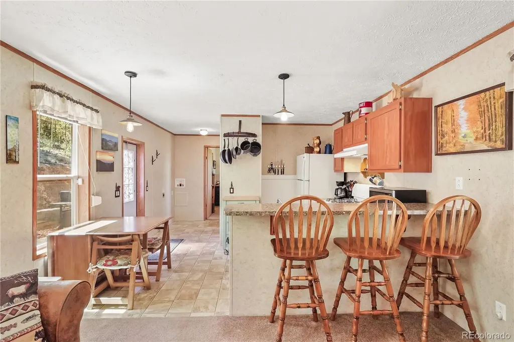 9525 S State Highway 67 Divide CO 80814