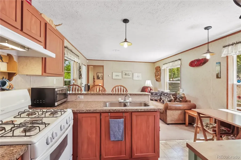 9525 S State Highway 67 Divide CO 80814
