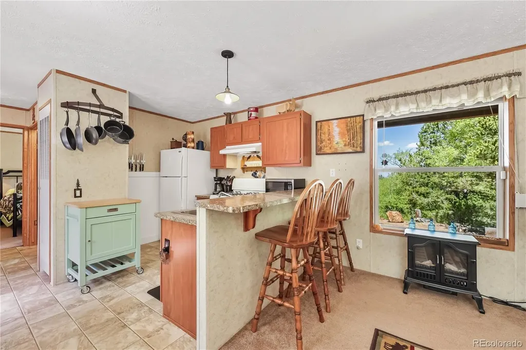 9525 S State Highway 67 Divide CO 80814