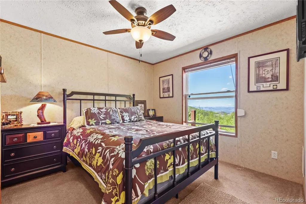 9525 S State Highway 67 Divide CO 80814