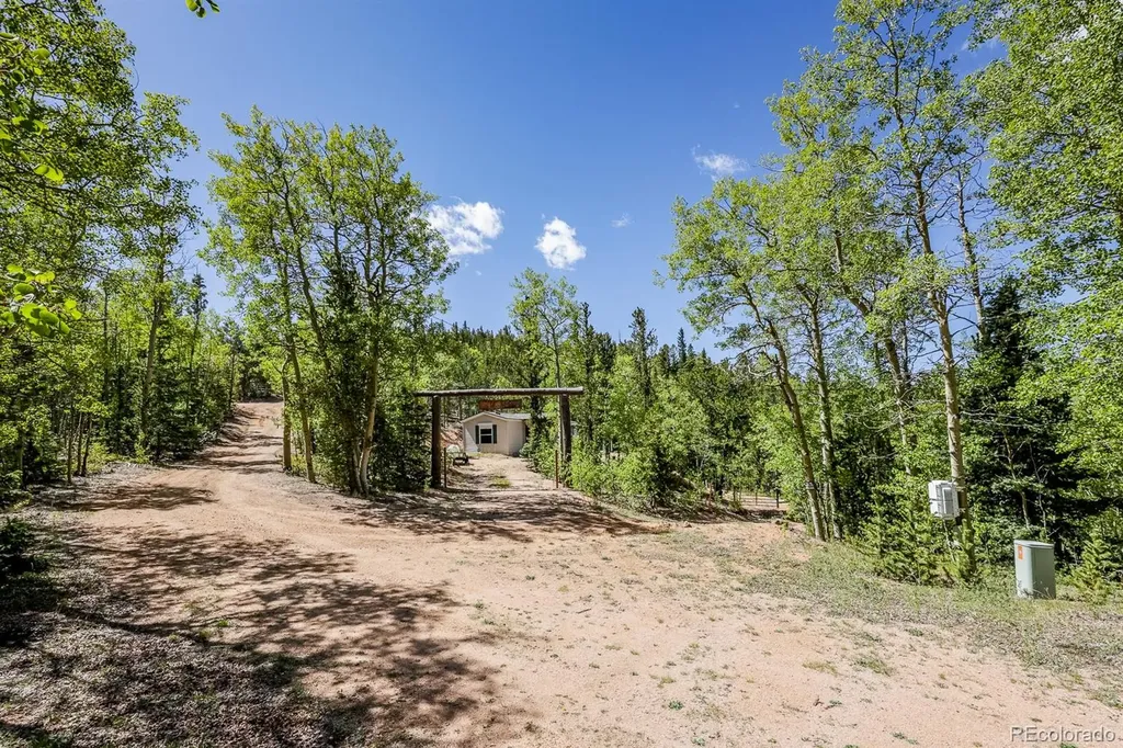9525 S State Highway 67 Divide CO 80814