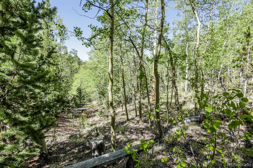 9525 S State Highway 67 Divide CO 80814