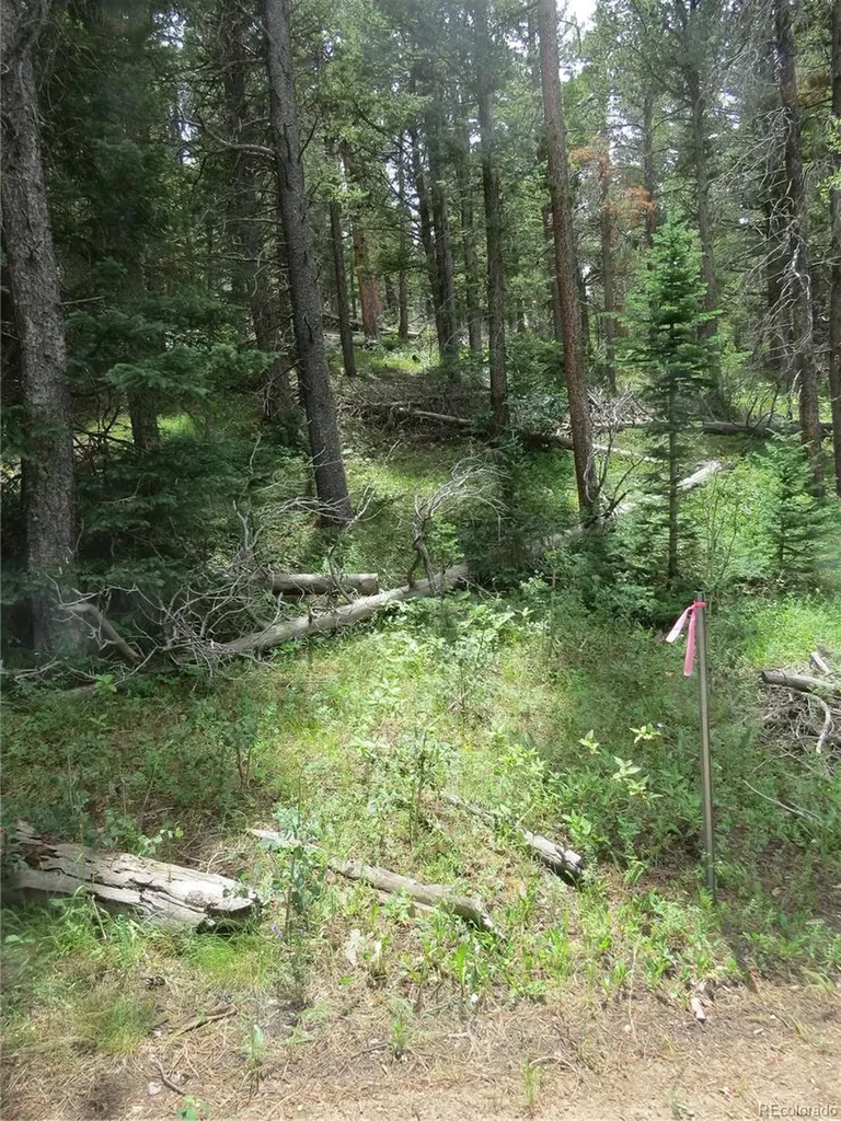 Peak To Peak Highway Nederland CO 80466