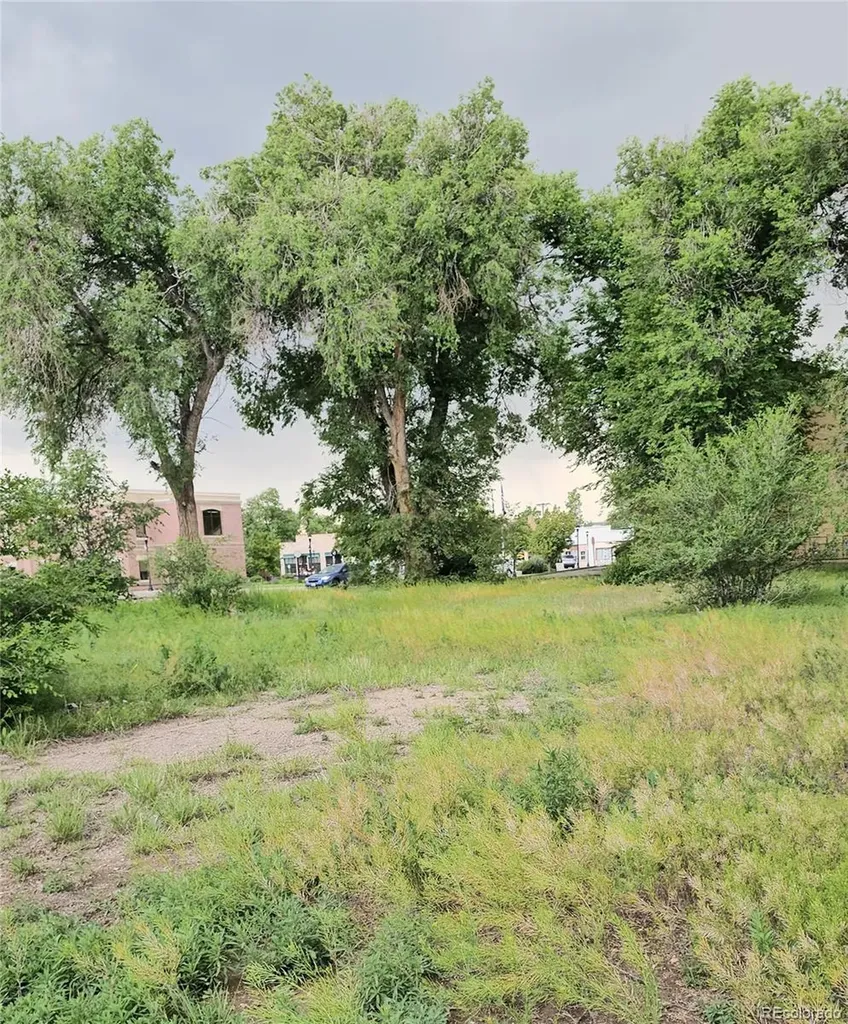 119 E Ohio Avenue Fountain CO 80817