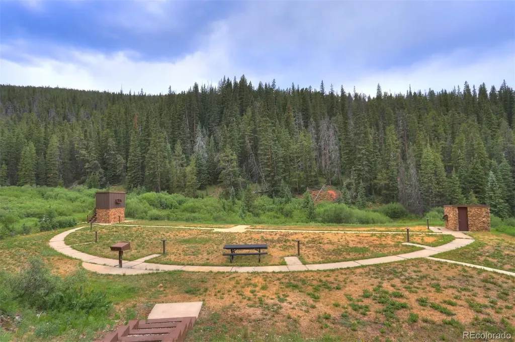 263 Tarnwood Drive Breckenridge CO 80424